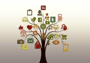 tree, structure, networks, internet, network, social, social network, logo, facebook, google, social networking, networking, social media, nature, icon, website, tiktok, presentation, multimedia